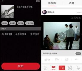 凤梨独家爆料视频在线观看,揭秘视频背后的精彩瞬间  第2张 凤梨独家爆料视频在线观看,揭秘视频背后的精彩瞬间  第2张