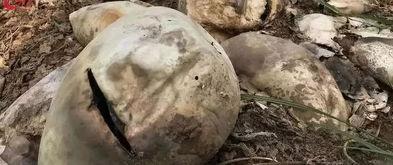 方山吃瓜最新事件爆料  第2张 方山吃瓜最新事件爆料  第2张