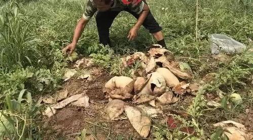 方山吃瓜最新事件爆料  第3张 方山吃瓜最新事件爆料  第3张