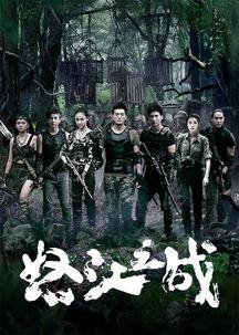 怒江之战电视剧全集在线观看,揭秘二战滇西战场惊心动魄的传奇故事