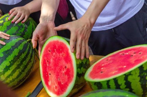 呼市大学免费吃瓜的群,夏日清凉福利大放送!”  第2张 呼市大学免费吃瓜的群,夏日清凉福利大放送!”  第2张