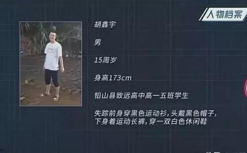 新闻爆料失踪案例最新,追踪最新未解之谜,揭开失踪者命运之谜  第3张 新闻爆料失踪案例最新,追踪最新未解之谜,揭开失踪者命运之谜  第3张