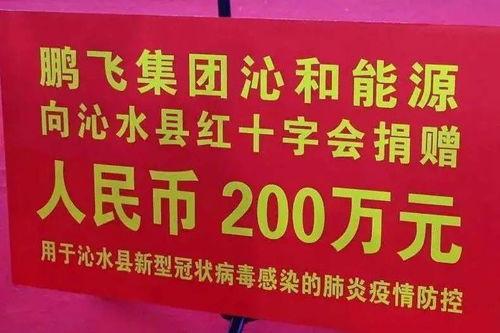 鹏飞集团爆料最新消息,揭秘企业转型背后的秘密与挑战  第1张 鹏飞集团爆料最新消息,揭秘企业转型背后的秘密与挑战  第1张