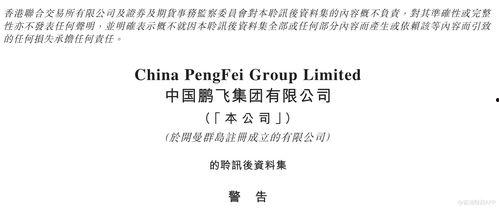 鹏飞集团爆料最新消息,揭秘企业转型背后的秘密与挑战  第3张 鹏飞集团爆料最新消息,揭秘企业转型背后的秘密与挑战  第3张
