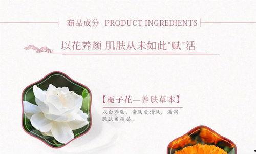 霜生花完整版在线观看,穿越时空的浪漫传奇,在线观看完整版  第2张 霜生花完整版在线观看,穿越时空的浪漫传奇,在线观看完整版  第2张