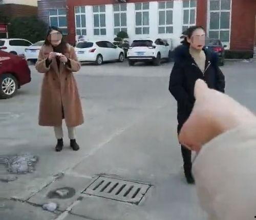 信阳爆料女子被打视频曝光,信阳街头暴力事件引发关注