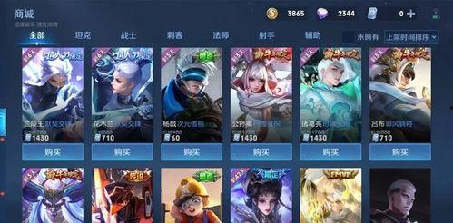 王昭新皮肤爆料视频播放,视觉盛宴,神秘英雄即将亮相  第2张 王昭新皮肤爆料视频播放,视觉盛宴,神秘英雄即将亮相  第2张