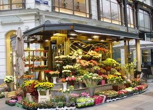 唐山花店爆料案件最新,揭开背后惊人真相  第2张 唐山花店爆料案件最新,揭开背后惊人真相  第2张